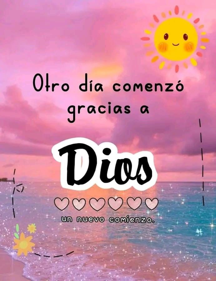 Nilda Petit tweet media
