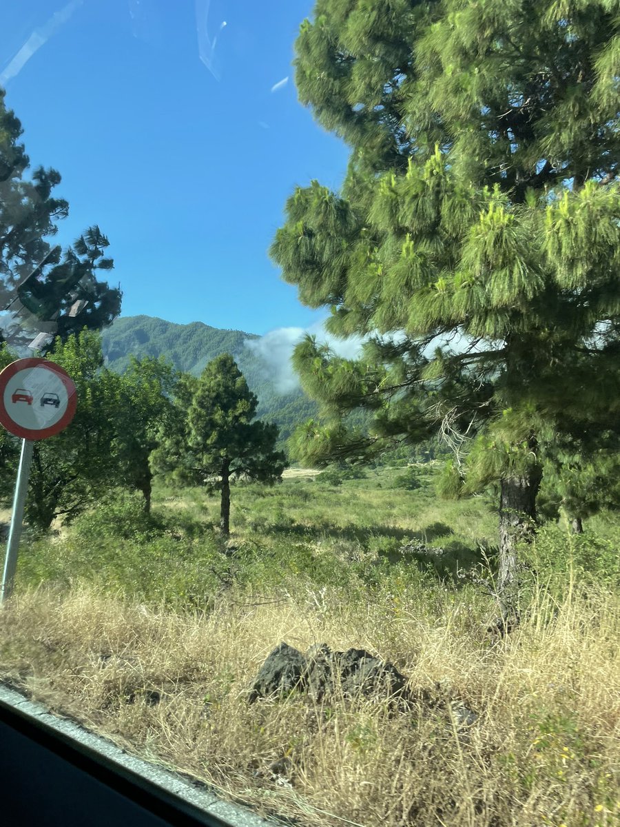 Recordando con mucho cariño este fin de semana tan bonito en el Festival de Ilustración Bolboreta de La Palma 🩷 Mil gracias a Jose Tabares y <a href="/CulturaAridane/">Cultura Aridane</a> por la invitación y a todas las personas bonitas a las que tuve el placer de conocer🩷 Deseando volver pronto🌸🌸🌸