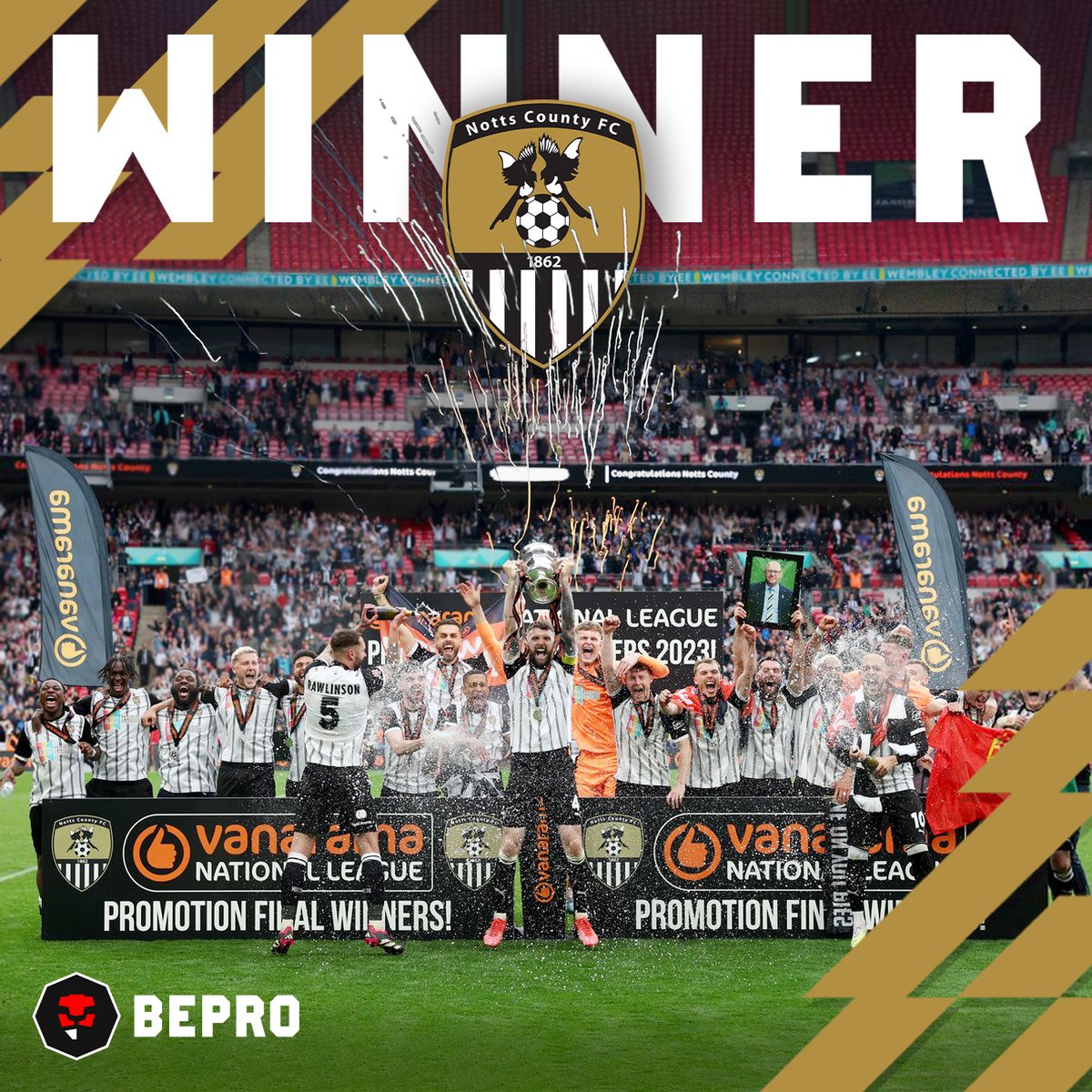 BEPRO tweet media