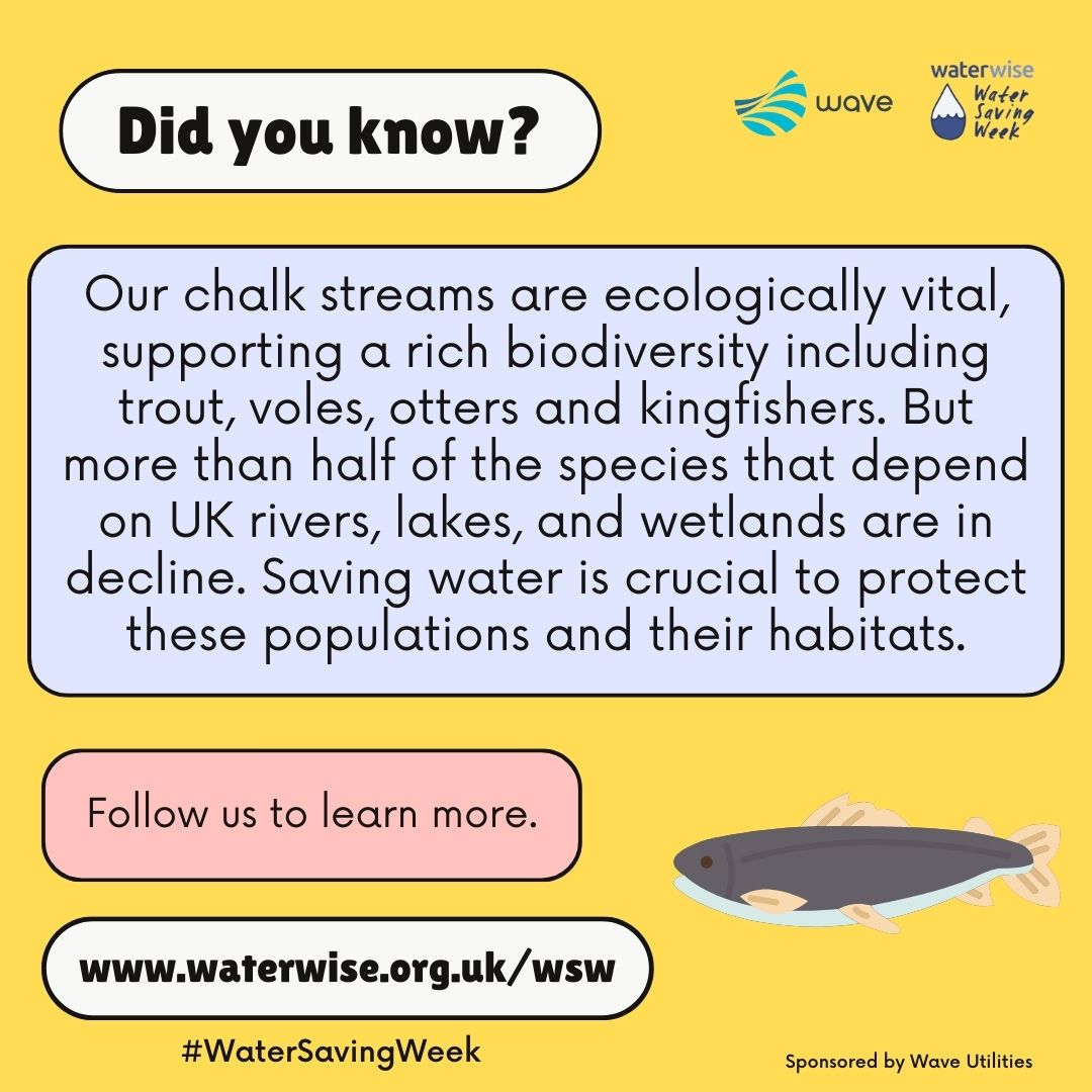 Our chalk streams are under existential threat, and they provide drinking water for millions. By reducing our water use, we can help protect these rare and ecologically vital streams and the species that depend on them #WaterSavingWeek <a href="/WaveUtilitiesUK/">Wave</a>