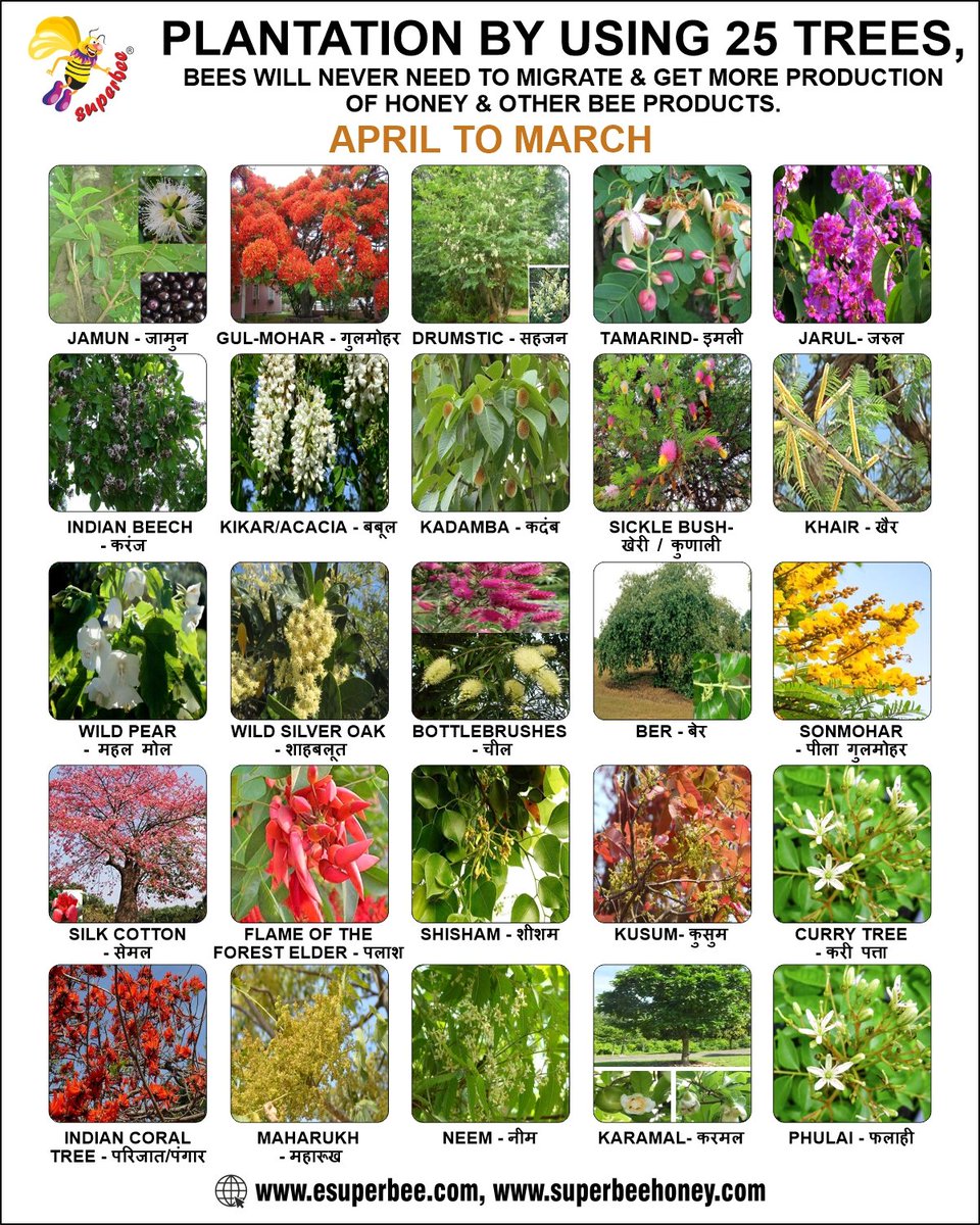 Bee friendly plantation kare