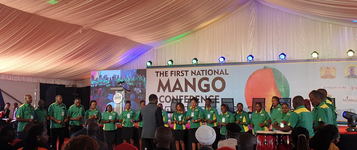 KemboiJVivian's tweet photo. Thrilled 2 participate in the 1st National Mango Conference in Makueni County(16th to 18th May).
Makueni County; suitable 2 host the conference as it's the leading county in mango production both in acerage & value. #KenyaMangoConference
@OfficialMakueni @kenya_afa @kilimoKE https://t.co/OP2x7CT8mc