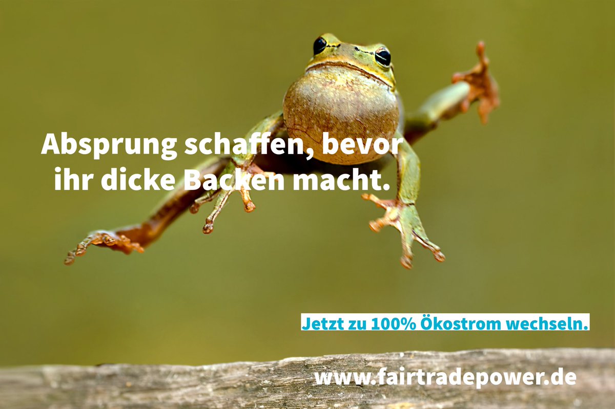 Unser Fair Tarif für alle #Ökostrom-Einsteigenden.
Von @GSL_eV ausgezeichneter Strom aus 100% aus erneuerbarer Wind-, Wasser- und Sonnenenergie.
🌿Mehr Infos unter fairtradepower.de