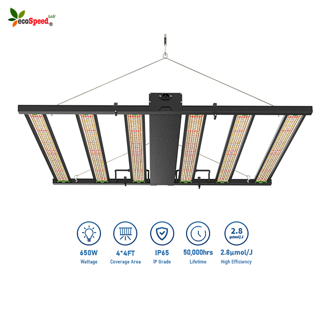 Fannylee188's tweet photo. Best cheap price led grow light 6bar 8bar 10bars, full spectrum,custom OEM ODM welcome
#seeding #growled #ledgrow #fullspectrum #dimmablegrow #600wgrowled https://t.co/UTgg2RvaRu