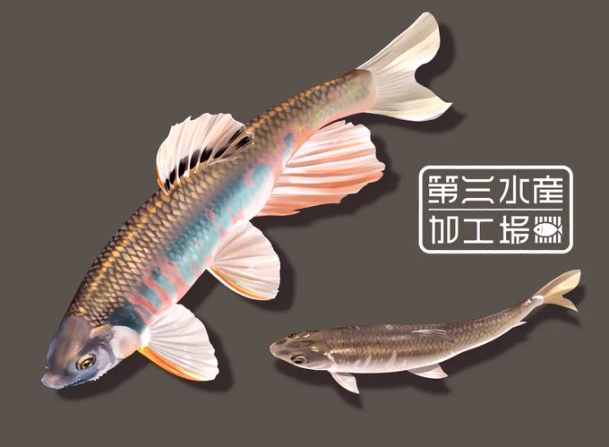 渾身のオイカワ描いたから見てくれ!