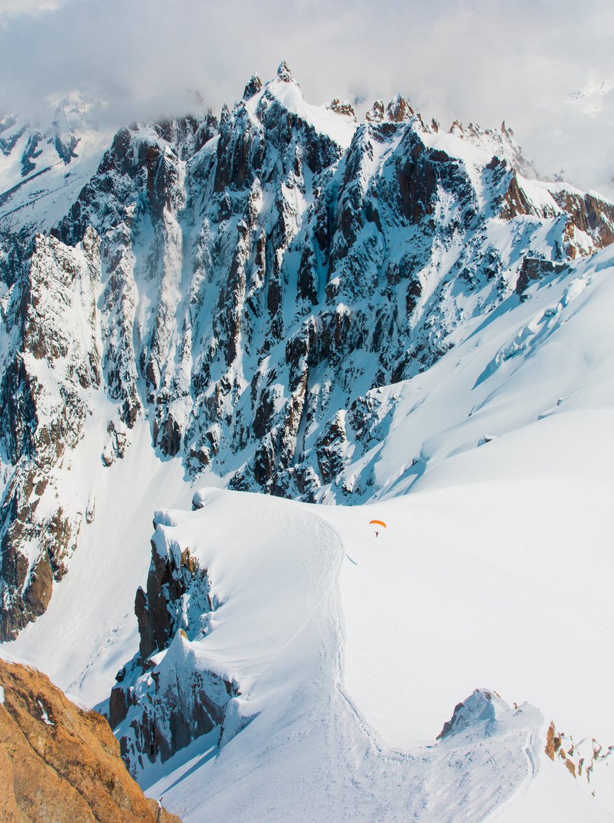 Sights Of Sara tweet media