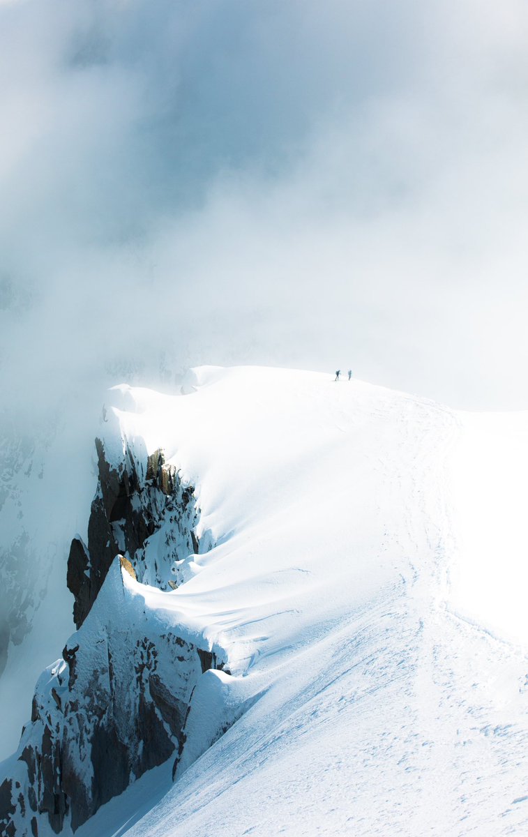 Sights Of Sara tweet media