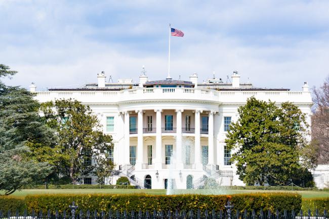 Petlife1's tweet photo. According to Google the 26th American President, Theodore Roosevelt had more animals than the White House had ever seen, including five guinea pigs, all with rather peculiar names:

Admiral Dewey
Dr. Johnson
Bishop Doane
Fighting Bob Evans
Father O’Grady

#GuineaPigs #vegg... https://t.co/Bbw9c7JHDx