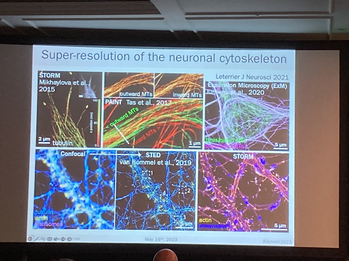 _mariod's tweet photo. @christlet as expected, amazed us with gorgeous #microscopy to elucidate the #axonal and #presynaptic actin nano-structures, better tags for super-resolution microscopy, @BrunoCombettes from @AndorTechnology presenting the versatile Dragonfly 600 
 #celldyn2023 2/2 https://t.co/Fqzm0SBorI