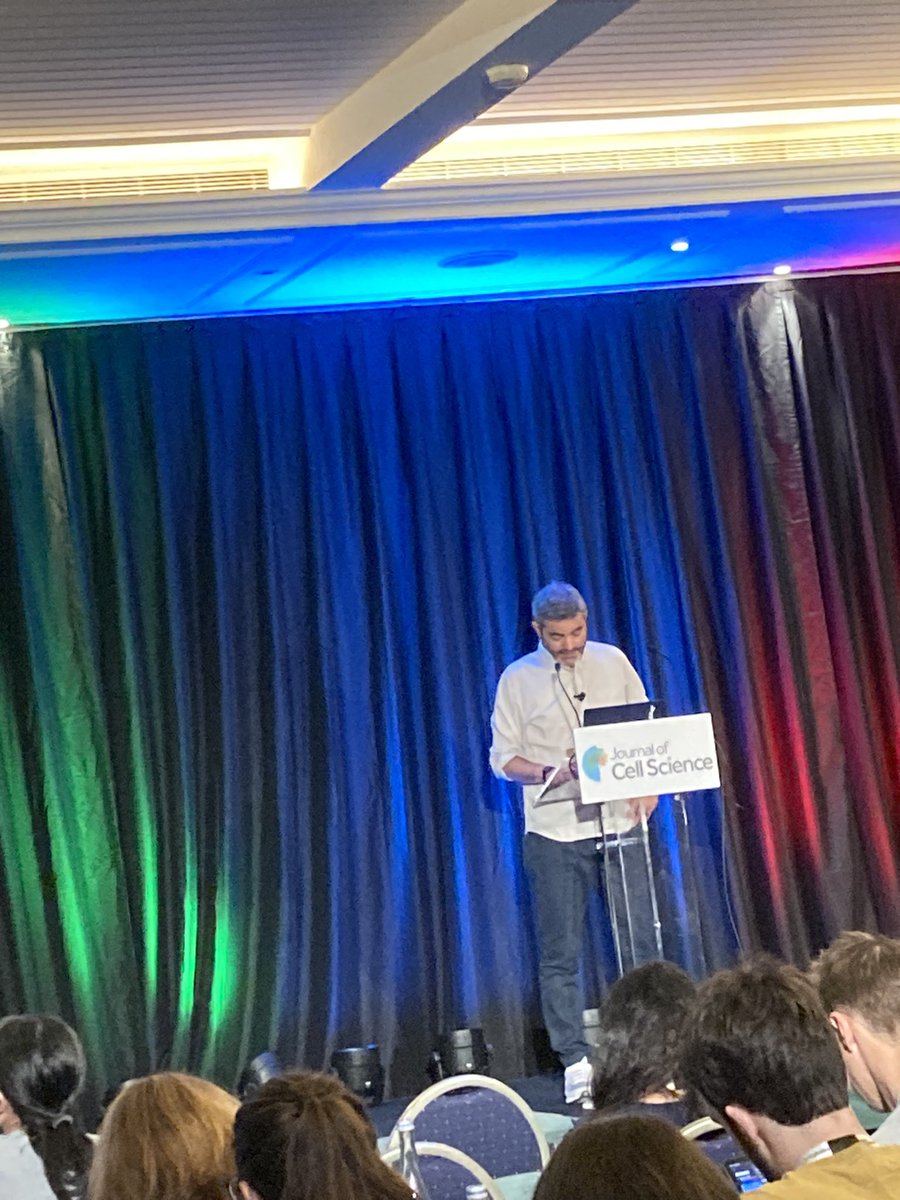 _mariod's tweet photo. @christlet as expected, amazed us with gorgeous #microscopy to elucidate the #axonal and #presynaptic actin nano-structures, better tags for super-resolution microscopy, @BrunoCombettes from @AndorTechnology presenting the versatile Dragonfly 600 
 #celldyn2023 2/2 https://t.co/Fqzm0SBorI