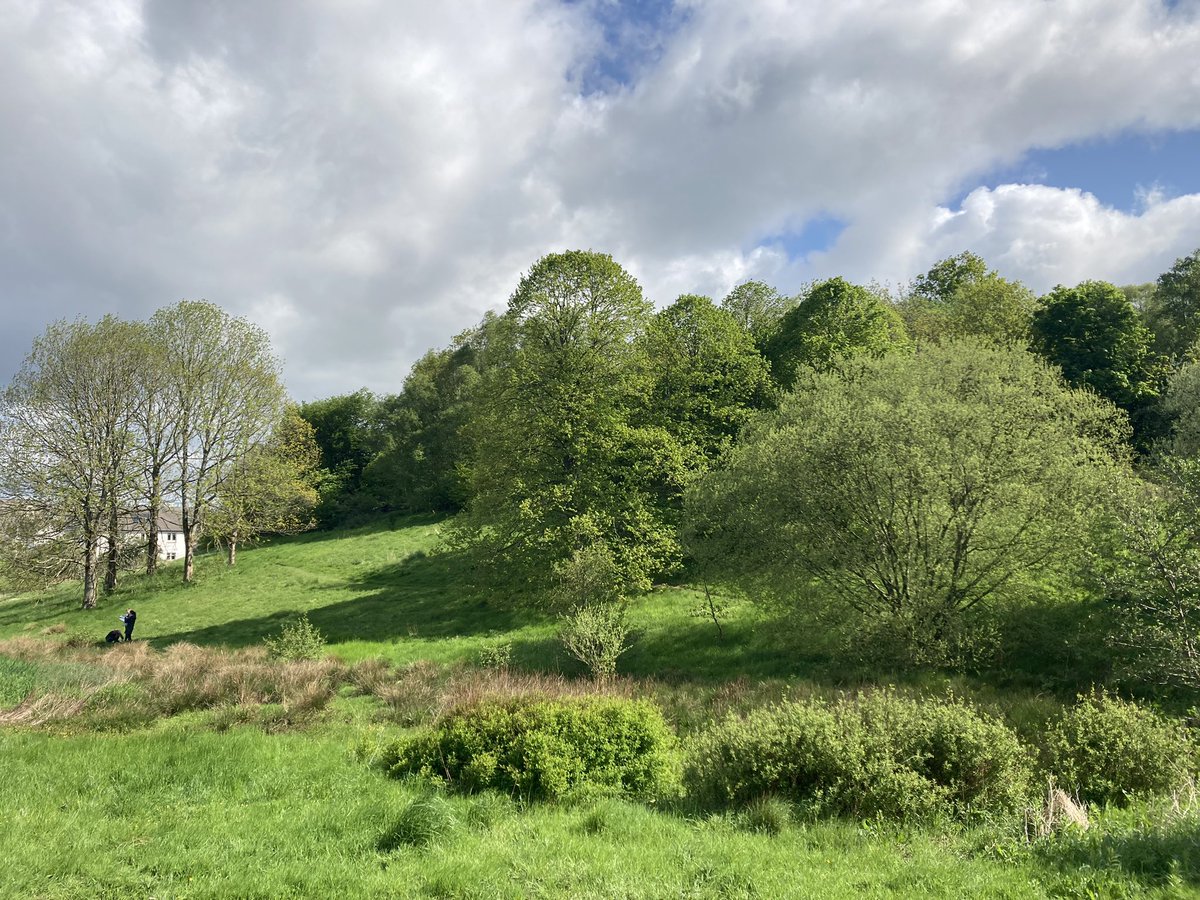 Beautiful morning for our first John Muir exploration 🌳 <a href="/BoclairEnglish/">Boclair Academy English Department</a>