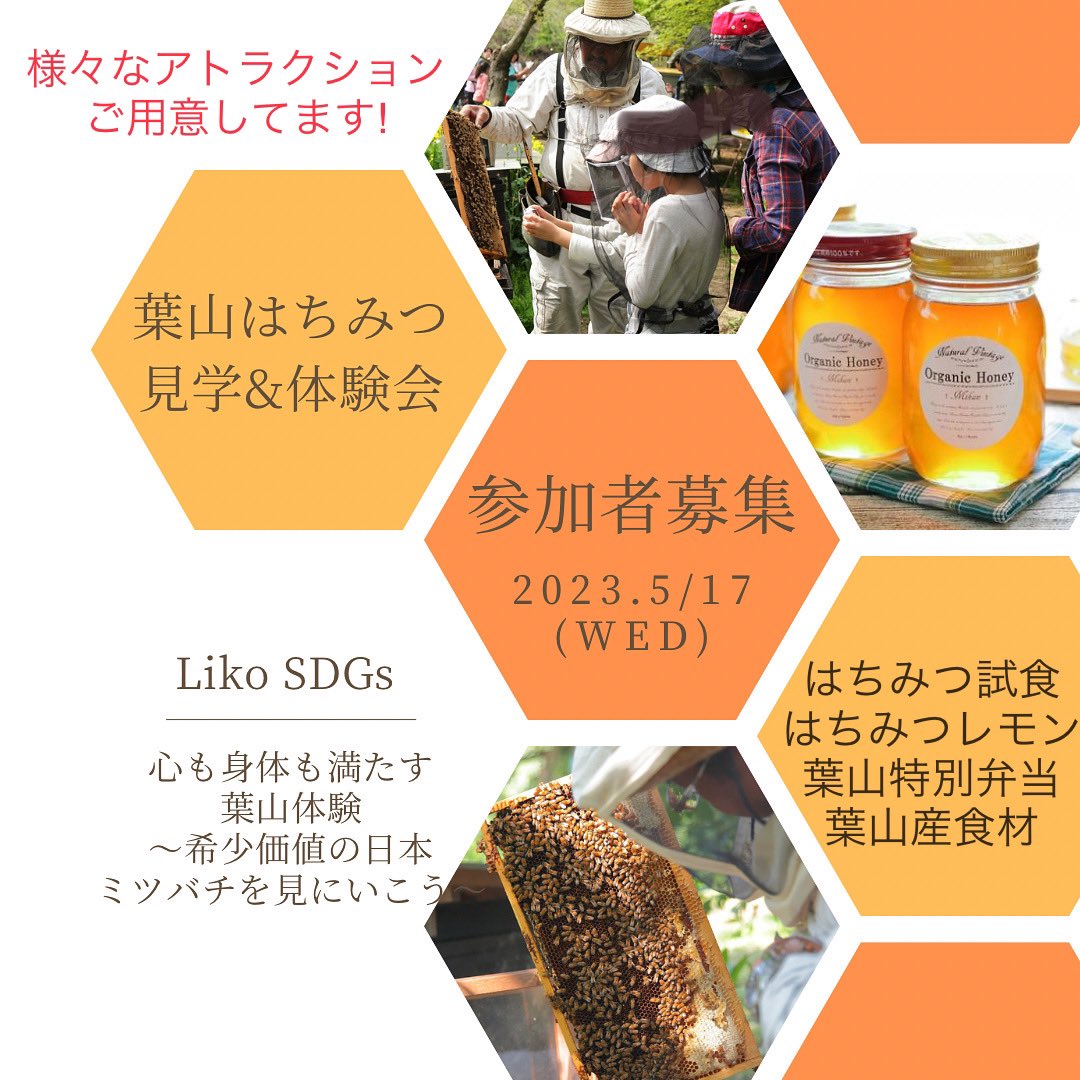 ebiri_na's tweet photo. 明日は葉山にはちみつ見学会&amp;体験会🐝🍯
楽しみ🎵 https://t.co/odXbEV04W3