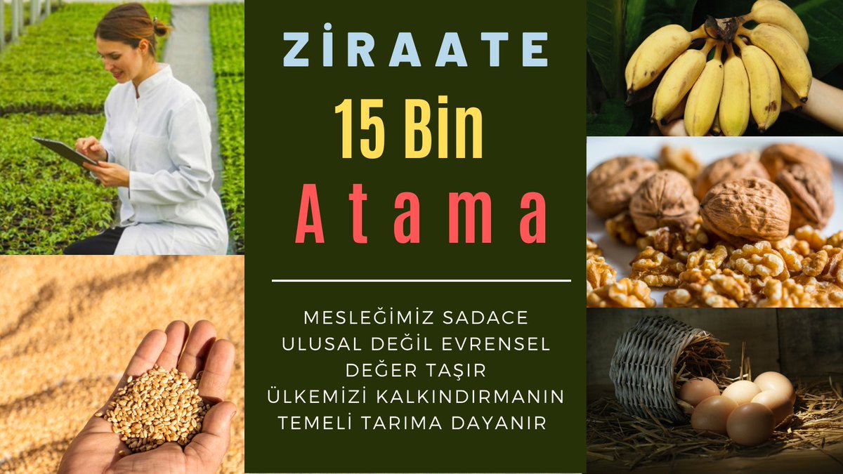 Anneme güzel bir haber vermek istiyorum. Artık atama beklemekten sıkıldım 😠😠