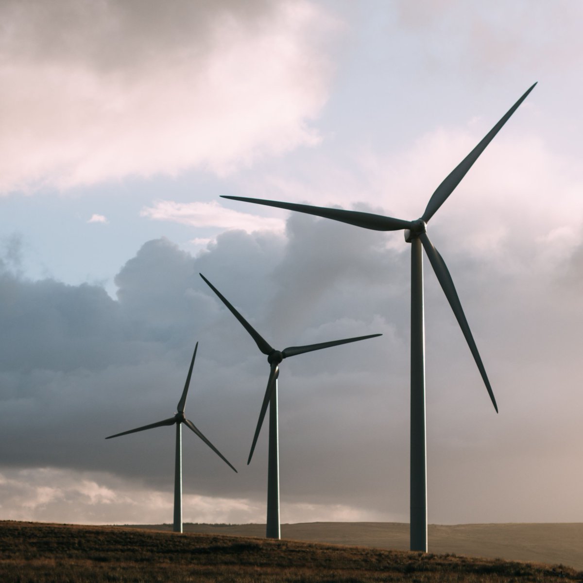 Envantage_TD's tweet photo. Energy Cost Saving Alert - New opportunities to make savings on your energy bills - https://t.co/s8CyGM1uNf #EnergySavings #CostReduction #CCA #Consultancy #EnergyPrices #GasPrices #PowerPrices https://t.co/WjEtRs416f