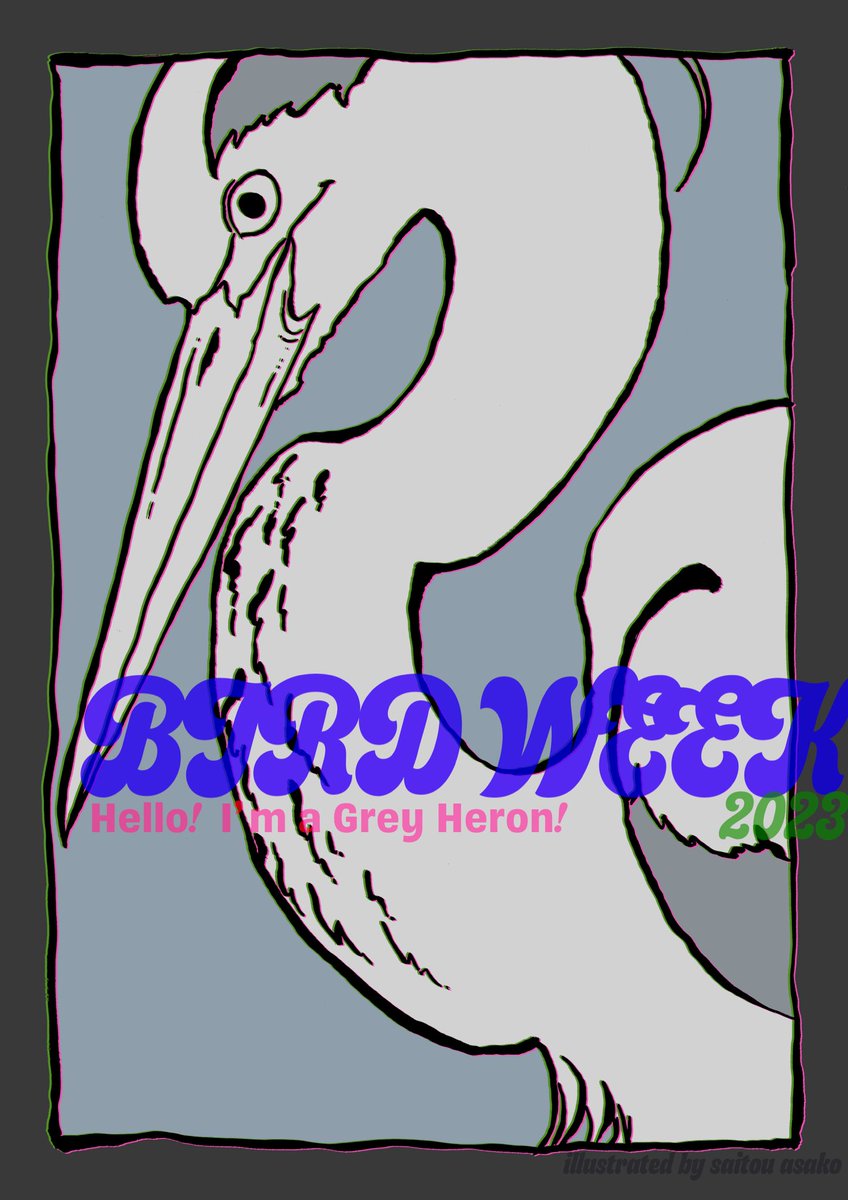 asako_bird's tweet photo. Hello! Birds! <Grey Heron> 
7枚目ラストは、アオサギです。
りりしい顔つきがかっこいい、サギ界の二枚目。グッグッという首の曲線がすっごくいい‼︎  私にとって最も魅力的な首の形ですね。大好きな鳥さんです。
#愛鳥週間　#鳥　#イラスト https://t.co/7UmS5pNMuw