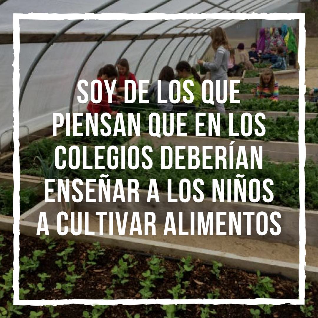 EcoInventos's tweet photo. ¿Crees que se debe enseñar a los niños a cómo cultivar sus alimentos como parte de su escolarización? https://t.co/yjE6HRx8xv
