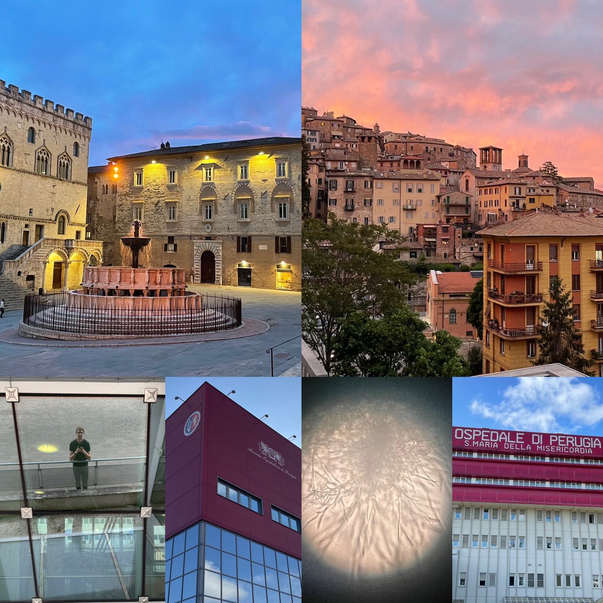 Ondřej Vymazal (@ovymazal) on Twitter photo I am ready for some Italian molds.
#aspergillus #candida <a href="/UniperugiaNews/">Università degli Studi di Perugia</a> I am ready for some Italian molds.
#aspergillus #candida <a href="/UniperugiaNews/">Università degli Studi di Perugia</a>