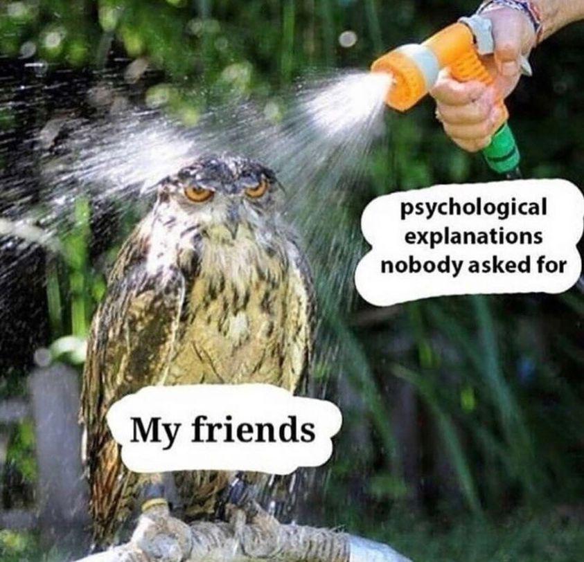 someone's therapist (@someonestherap_) on Twitter photo 