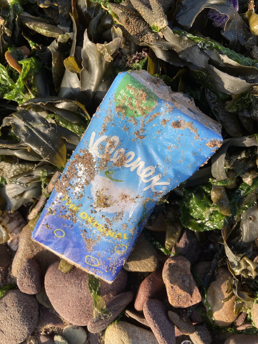 ZeroWaste_Now's tweet photo. I found this unopened pack of tissues on this morning’s tide line. It made me wonder just how much plastic is produced which is used for products which don’t get used at all? @Kleenex @Kleenex_UK #pointlessplastic #SustainableLiving #beach #litter https://t.co/k9P8nV4fJ2