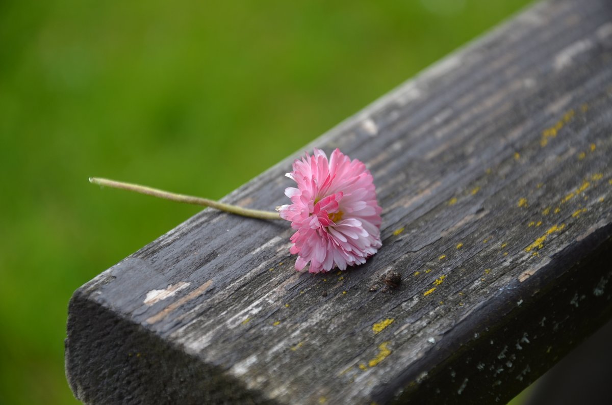 intimates_of's tweet image. we wish everyone a wonderful day! 🫶
onlyfans.com/intimates
#happyday #onlyfanspromo