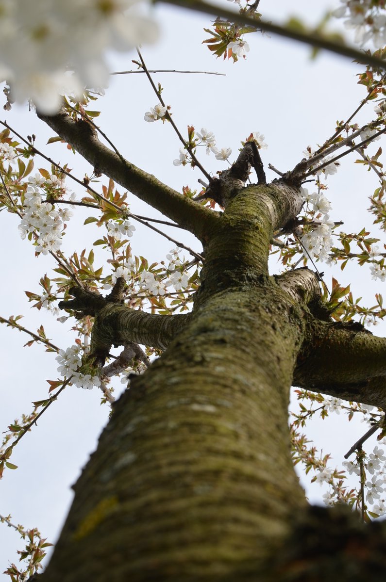 intimates_of's tweet image. we wish everyone a wonderful day! 🫶
onlyfans.com/intimates
#happyday #onlyfanspromo