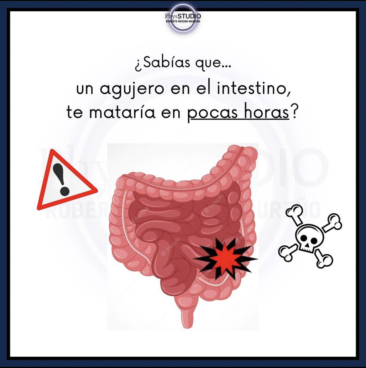 PhysStudio's tweet photo. Un intestino perforado nos mata en pocas horas ☠️ 
Mira el post de Instagram para saber por qué 🧠 @PhysStudio https://t.co/aqmjP4dQsm