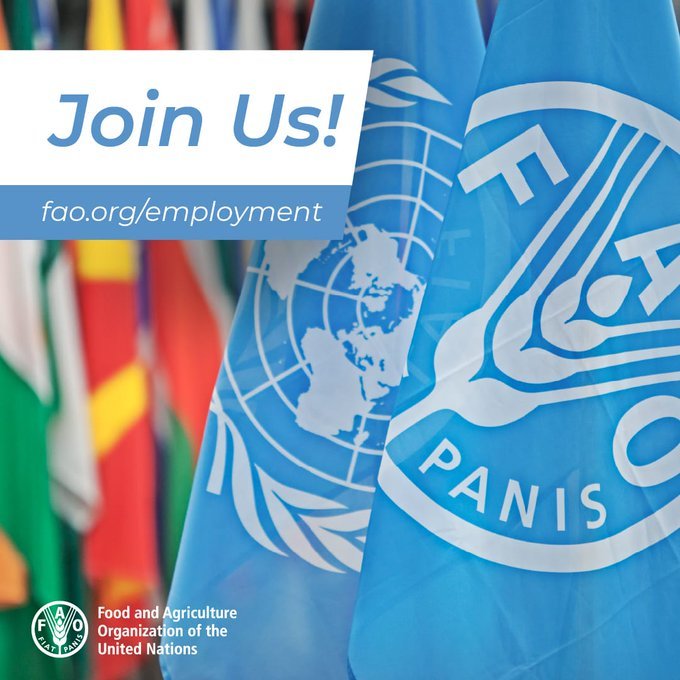 📢OPPORTUNITY📢

Sustainable Wildlife Management Programme – Field Assistant Coordinator
Closure Date: 30/05/2023, 11:59:00 PM Organizational Unit: FAO Representation in Botswana
Location: Botswana-Gaborone
Duration: 11 months

For more information 👉bit.ly/3IekUHK