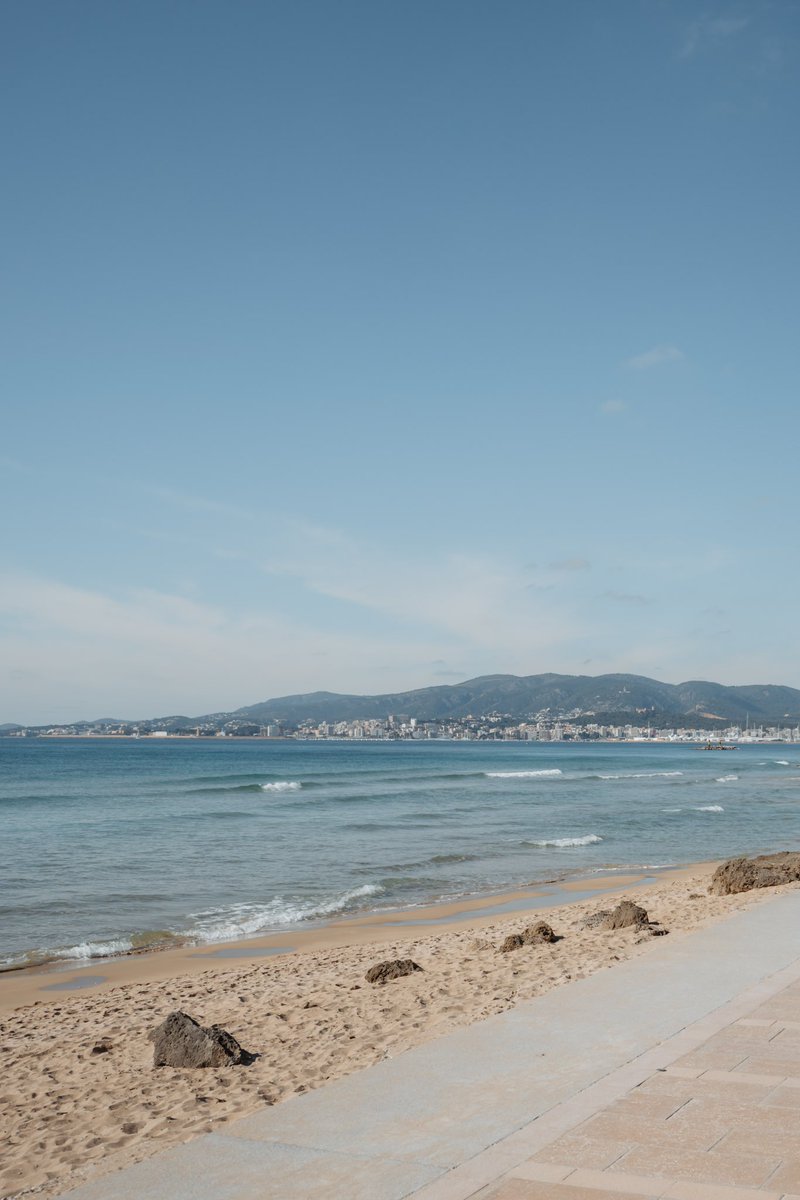 Palmer Alma Mediterránea tweet media