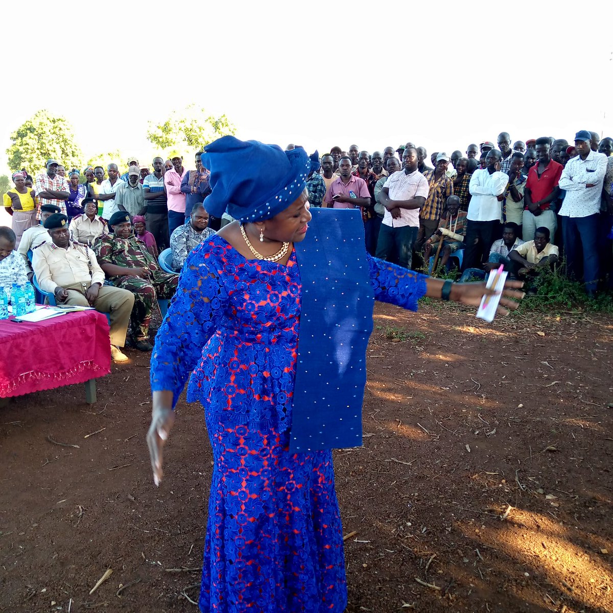 HonSenator_Beth's tweet photo. Article 118 of the Constitution mandates Parliament to facilitate public participation. This means that citizens get  involved in policy-making and implementation of bills and deepens good governance, promotes transparency and fosters accountability. https://t.co/oAaoTMwEFE