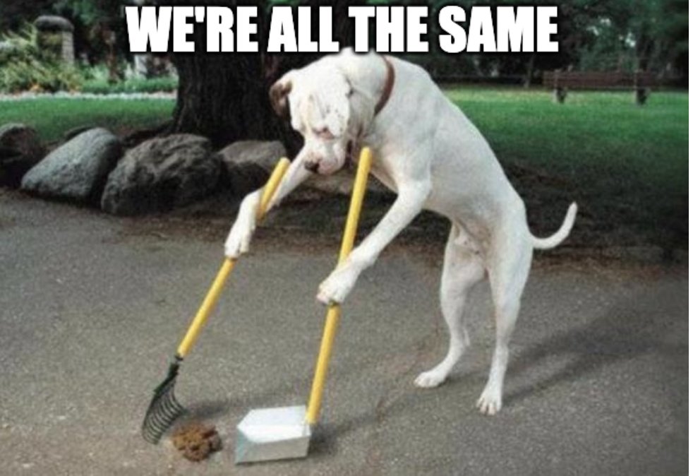 If I have to choose between an influencer and a dog, I'm taking the dog.  At least the dog isn't making fake promises