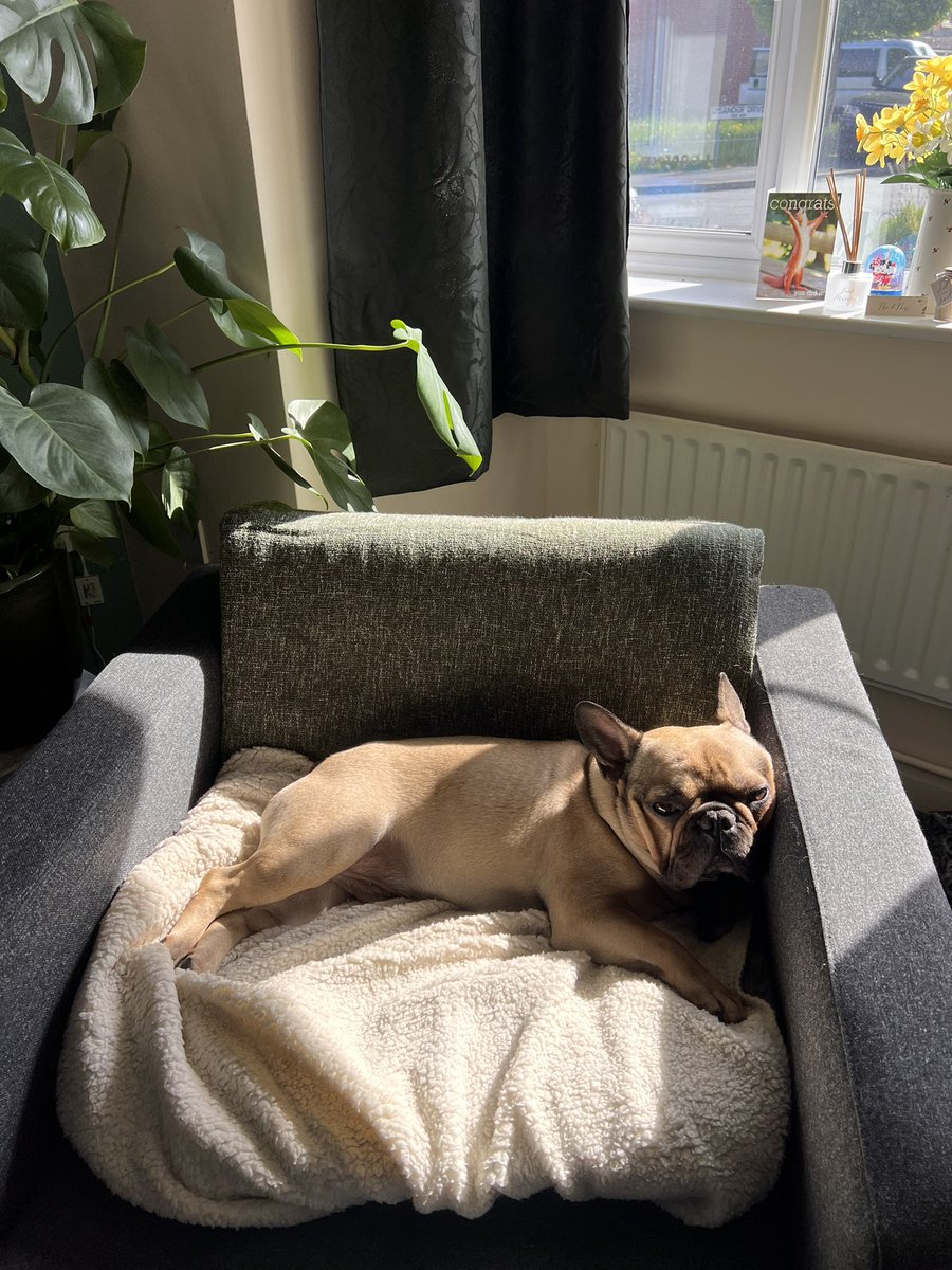 rhi 🍒 tweet media