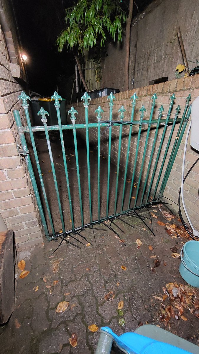 Missed a call from greenwaste guy today. Got home to this gate with a greenwaste bag against it. Seems he went to undo & load the bag when the dogs heard him & came to check it out. Bloke hasn't been here for a while Seems Archie tried to jump the fence & Loki almost made it thru