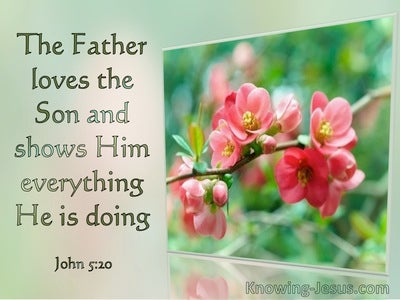 LLOYD2W's tweet photo. #QisJFKjr #TRUTH #MAGA #Jesus #TRUTHUK #YESHUA #YHWH
JOHN 5
For the Father loves the Son, and shows Him all things that He Himself does..He will show Him greater works than these, that you may marvel. For as the Father raises the dead and gives life to them, https://t.co/O0eO1lLeFf