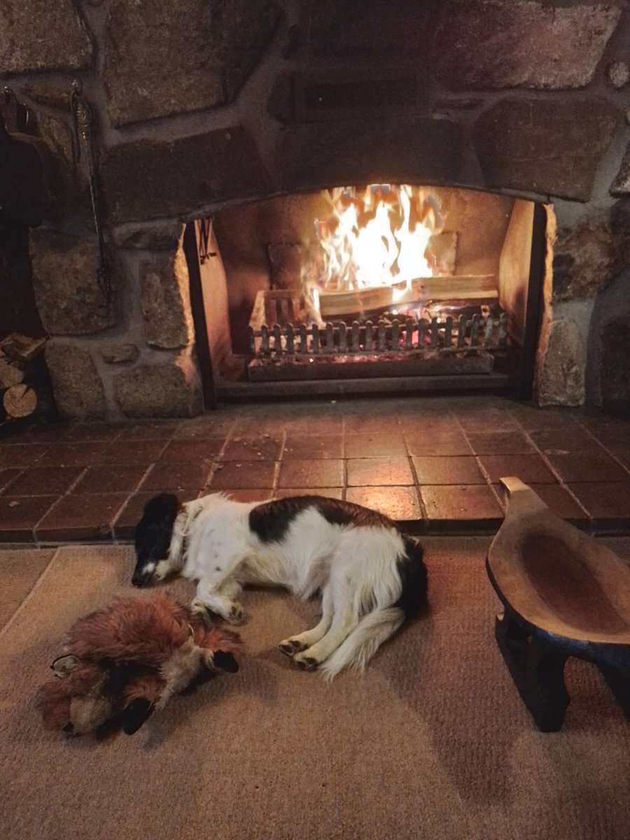 krytanmedia's tweet photo. @EverythingOOC Not a bad way to go sat by the fire.. https://t.co/L0mTKCSeCi