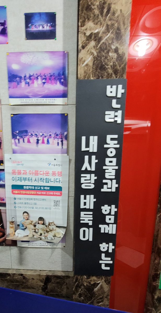 wudangmo's tweet photo. 강아지들과 돌봐주시는 분들에게 작지만 힘이
되었기를🫶 https://t.co/VeKkjfPDW5