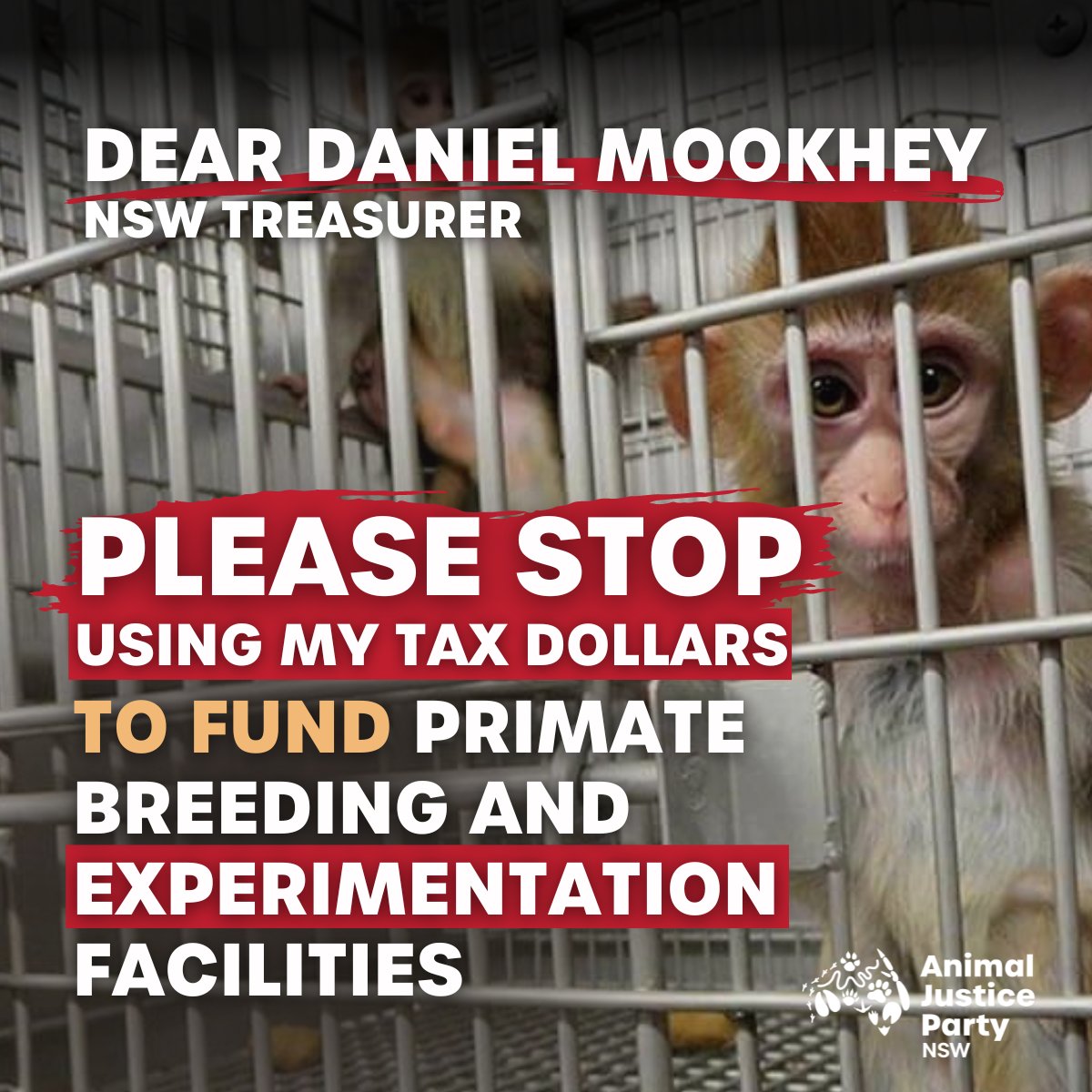 Tag @dmookheyMLC  to defund #animalexperimentation

The Treasurer has committed to review the use of taxpayer money to fund experiments on animals including the funding of a primate breeding facility in NSW that rents out animals for experimental purposes. 

#animalrights