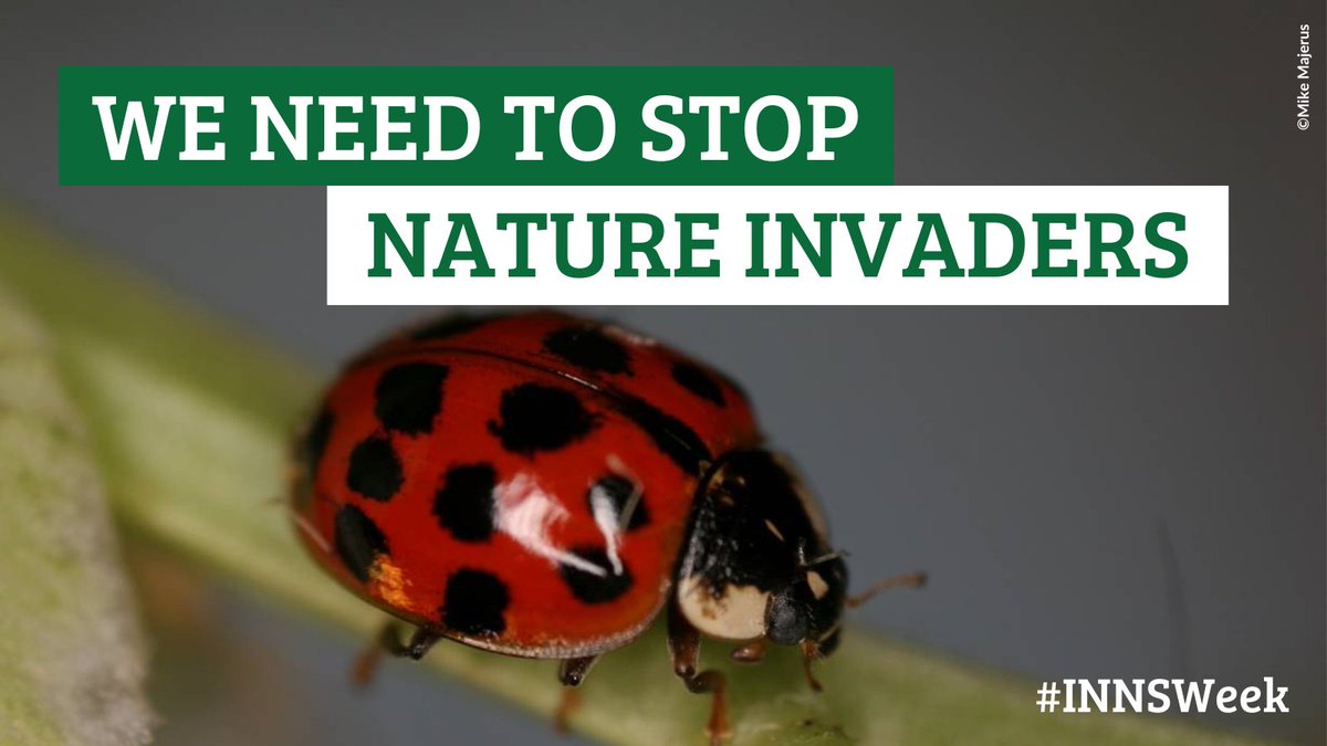 Invasive species threaten UK wildlife, inc gardeners’ friends 🐞

Damage from nature invaders costs the economy billions each year.

This #INNSWeek we're calling for soil imports to be phased out, as part of a wider plan to stop further nature invaders 🐜

wcl.org.uk/ban-foreign-so…