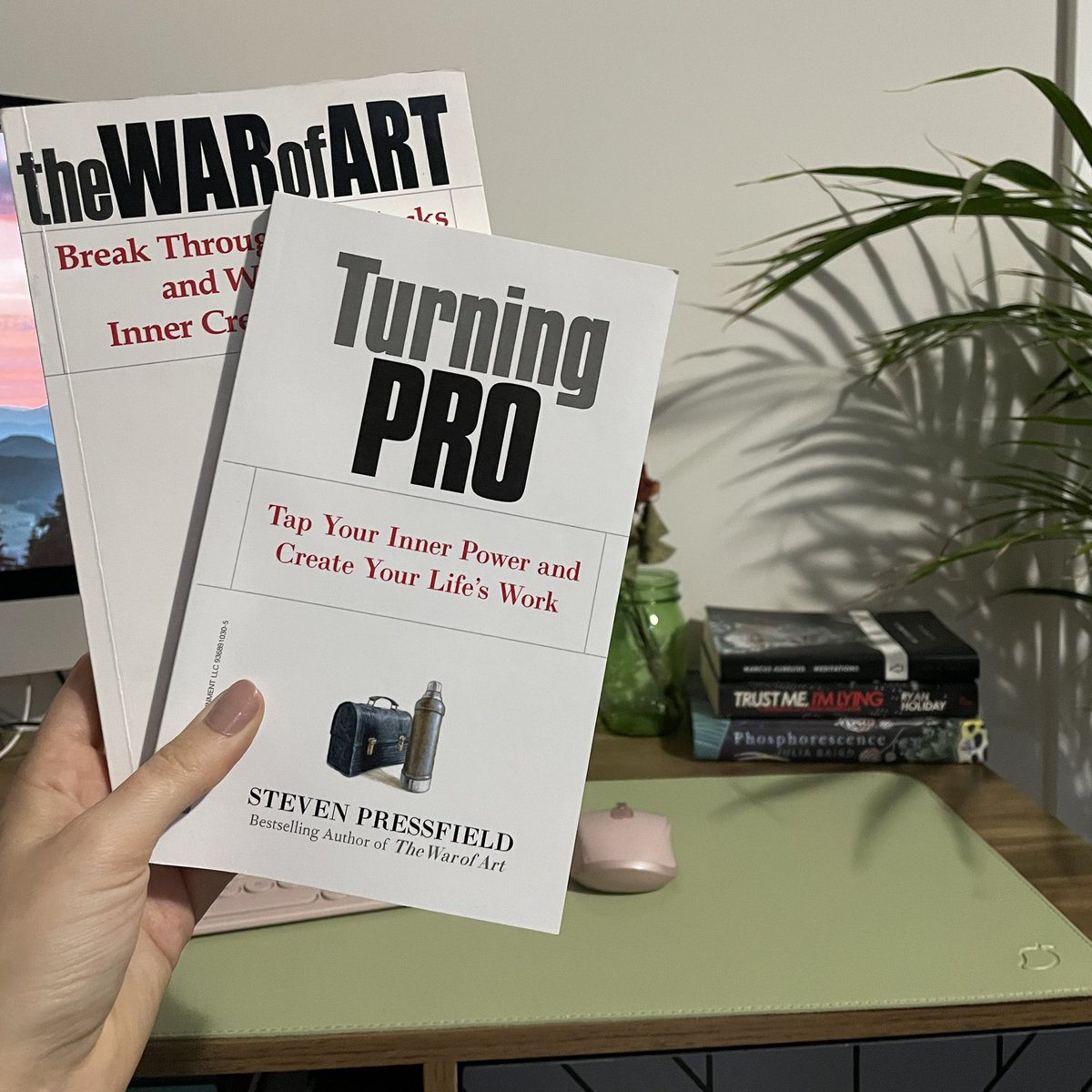 imsarahhingston's tweet photo. Time for part 2 📖

#turningpro #stevenpressfield #mindset https://t.co/Ncj4FfA5O4