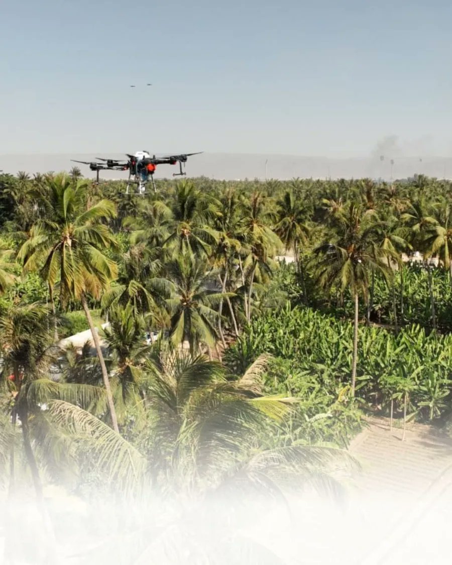 WakanTech's tweet photo. تلعب عمليات الرش الجوي بإستخدام الطائرات المسيّرة دوراً حيوياً في الحفاظ على الغطاء الزراعي والنباتات الأصيلة من الآفات.هنا جانب من مشروع مكافحة خنفساء أشجار النارجيل والذبابة البيضاء بمحافظة ظفار, وذلك بالتعاون مع وزارة الثروة الزراعية والسمكيه وموارد المياه.
. @MAFWR_OM https://t.co/4GsPl1QLt1
