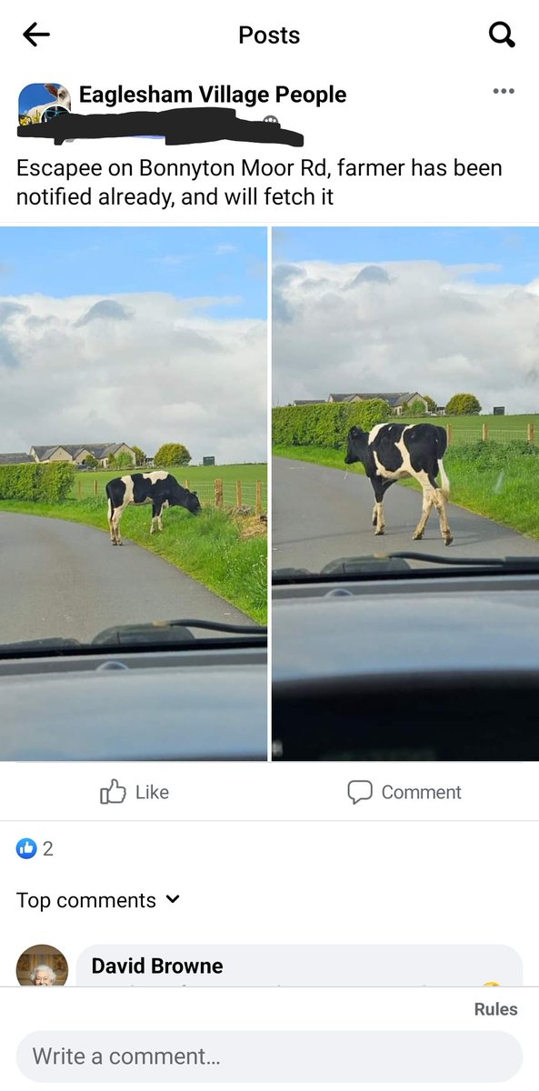 Jim Dykes tweet media