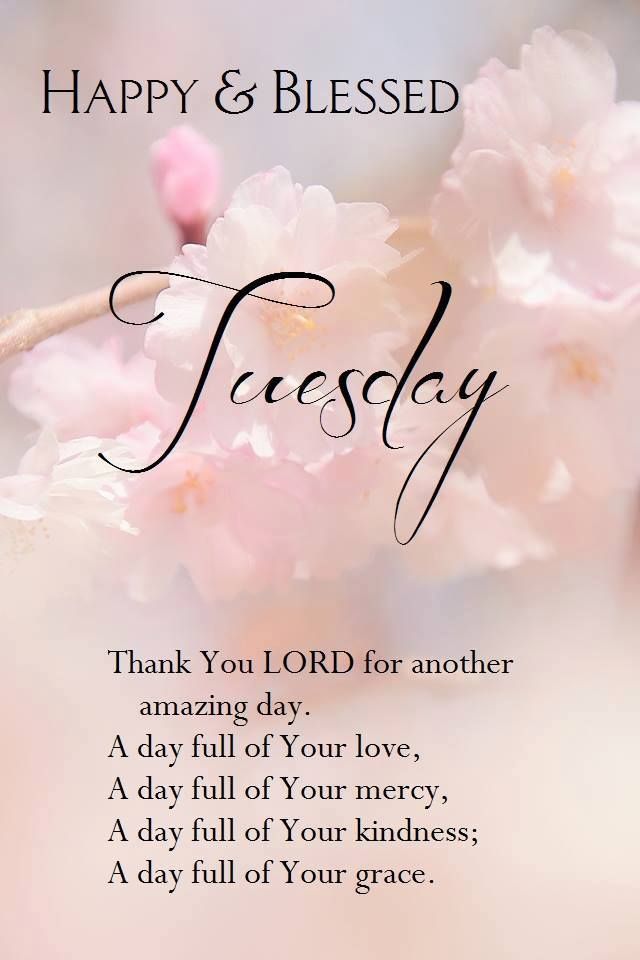 sherisa7's tweet photo. My Heart Is Filled With Thankfulness - Keith & Kristyn Ghetty
https://t.co/bzgFClNJTF
@AngelaG40003830 @blancef @BigGregory1980 @Darren86464282 and Everyone!
#Worship
#AllToJesus
#GratefulAndBlessed https://t.co/eqd9CQeyRw