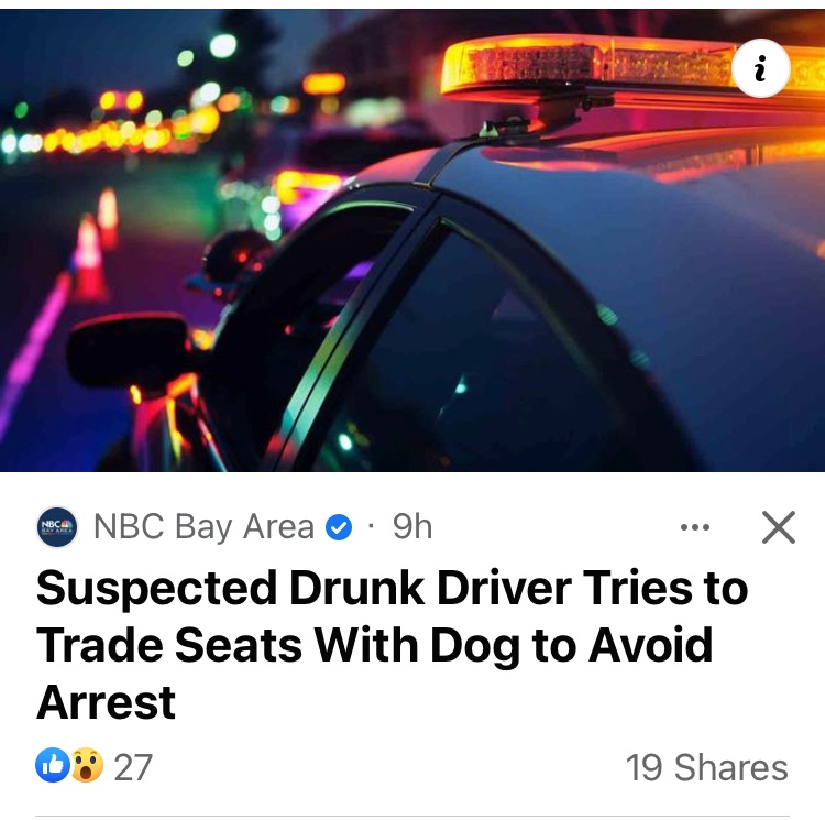 Disappointed nobody found out what breed the dog was, but this is still solid @newsorfallsong.