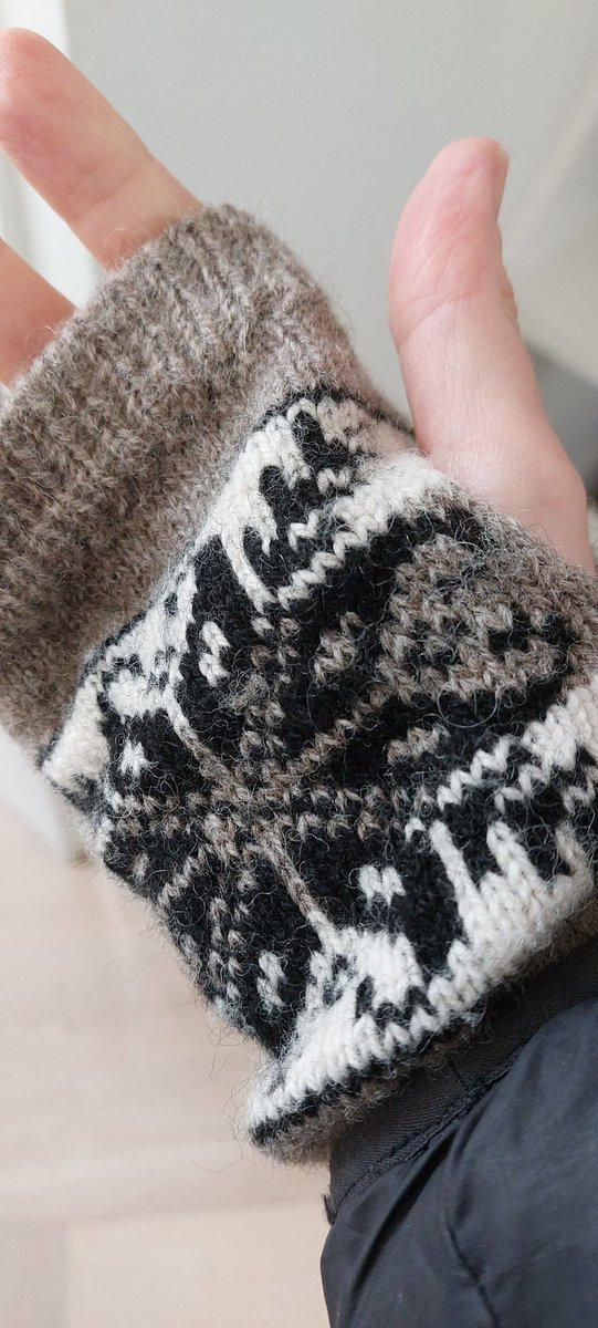 Eleanor Knight tweet media