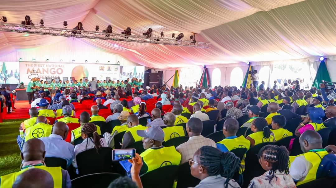 KisiaNzuki's tweet photo. Thousands of farmers and delegates turn up for the First National Mango Conference and Exhibition where measures for increasing mango production are being addressed. #kenyamangoconference
#grownunderthesun
@GvnMutula
@dgmulili
@MbiluDouglas
@OfficialMakueni
@mknassembly https://t.co/V38VQd1U9C