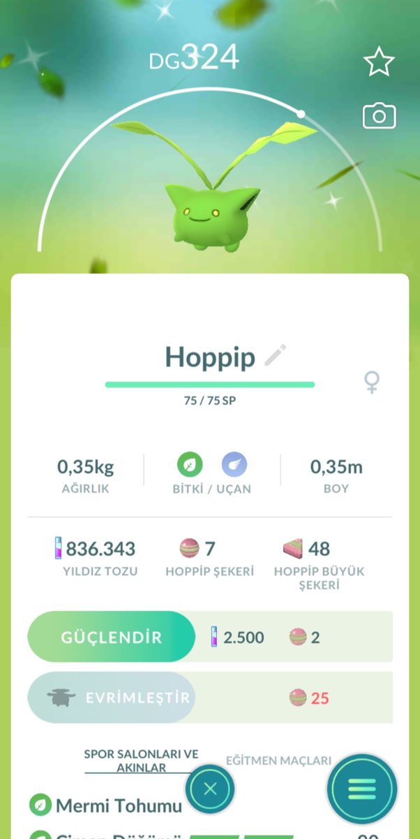 Son 6 ayda farklı pokémon oyunlarından yakaladığım 4. shiny hoppip... Evren bana nasıl bir mesaj yolluyor acaba...