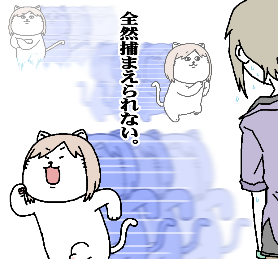 【日刊たのしい前川】 夏毛に生え変わって、動きが更に俊敏になった前川