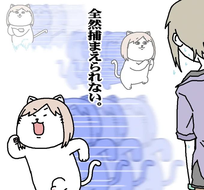 【日刊たのしい前川】 夏毛に生え変わって、動きが更に俊敏になった前川