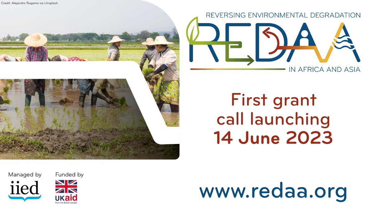 REDAAprogramme's tweet photo. Our 1st funding call will award grants of £200K-£500K for initiatives lasting 2-4 years.
Work should be locally led & help both ppl & nature thrive. This could include improving evidence, using new tools or strengthening governance systems.
More info 👉https://t.co/MIqhi5yPFa https://t.co/ej70P6oEXp