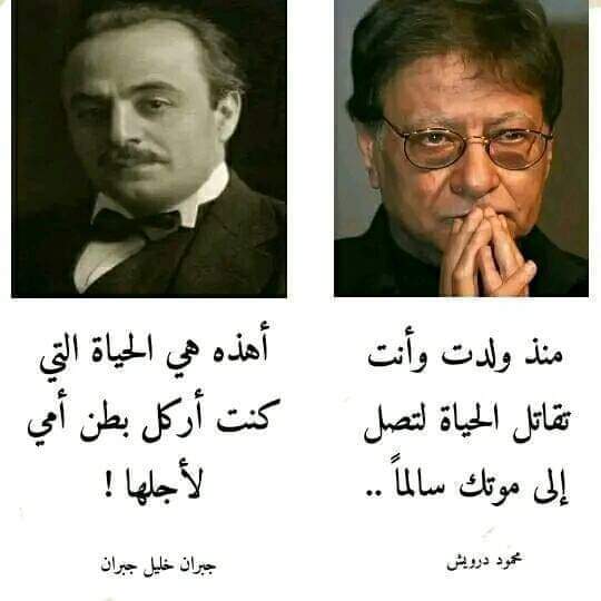 Rady01000697320's tweet photo. .......درب الألم https://t.co/FFfCoRWSiB