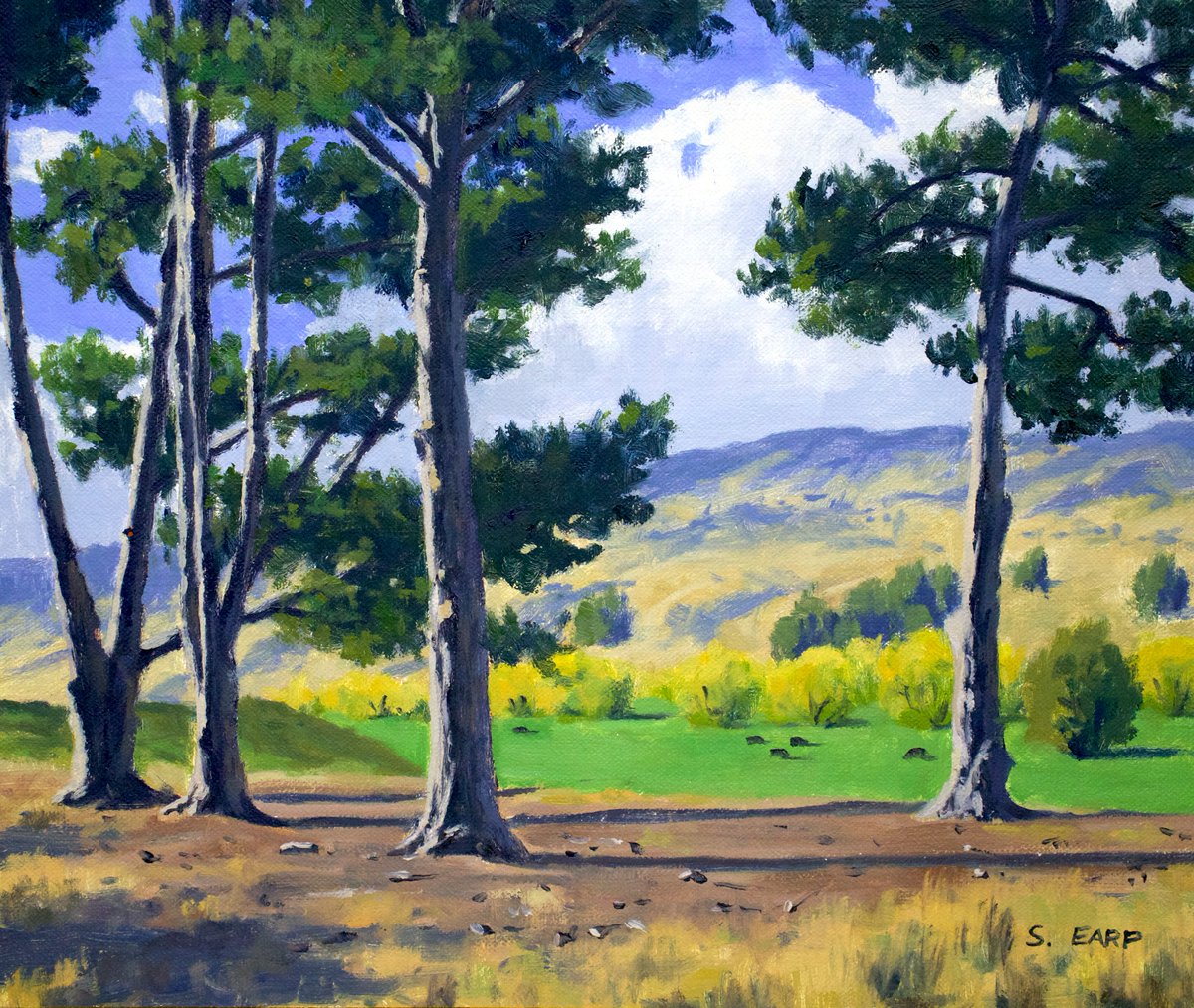 Painting Landscapes in Oils - eBook